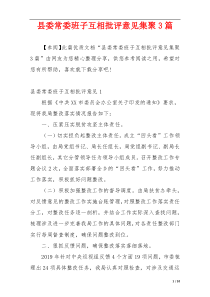 县委常委班子互相批评意见集聚3篇