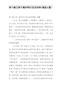 两个确立两个维护研讨发言材料（精选4篇）