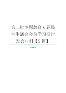 第二批主题教育专题民主生活会会前学习研讨发言材料【5篇】