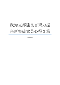 我为支部建良言聚力振兴新突破党员心得3篇