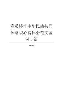 党员铸牢中华民族共同体意识心得体会范文范例5篇