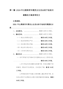 两篇：2024年主题教育专题民主生活会班子检视问题整改方案参考范文