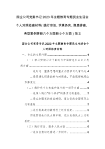 国企公司党委书记2023年主题教育专题民主生活会个人对照检查材料（践行宗旨、求真务实、隐患排查、