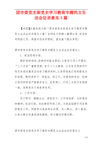 团市委党支部党史学习教育专题民主生活会征求意见3篇