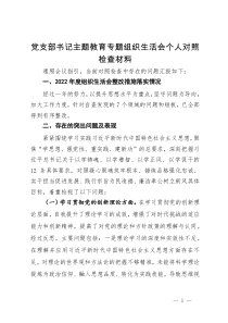 党支部书记主题教育专题组织生活会个人对照检查材料