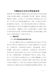 专题组织生活会对照检查材料 (2)