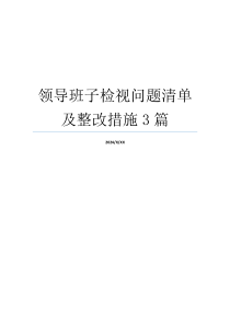 领导班子检视问题清单及整改措施3篇