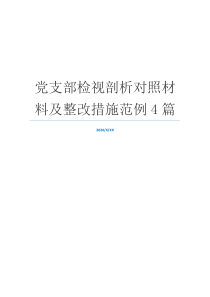 党支部检视剖析对照材料及整改措施范例4篇