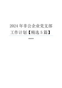 2024年非公企业党支部工作计划【精选5篇】