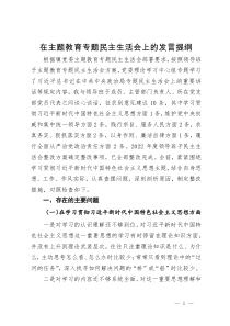 在主题教育专题民主生活会上的发言提纲