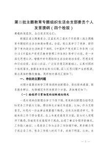 第二批主题教育专题组织生活会支部委员个人发言提纲（四个检视）