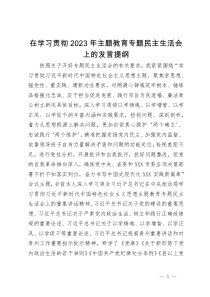 在学习贯彻2023年主题教育专题民主生活会上的发言提纲