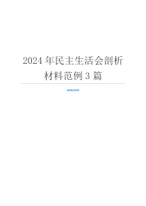 2024年民主生活会剖析材料范例3篇