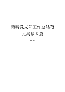 两新党支部工作总结范文集聚5篇