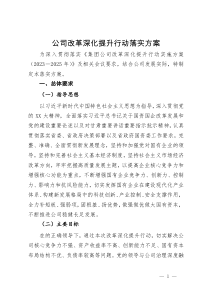 公司改革深化提升行动落实方案