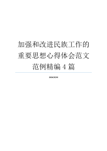 加强和改进民族工作的重要思想心得体会范文范例精编4篇