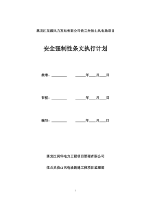 安全强制性条文实施计划(1)