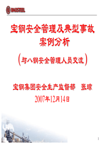 安全心理学宝钢典型事故案例分析可以参考