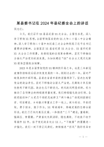 某县委书记在2024年县纪委全会上的讲话