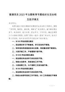 普通党员2023年主题教育专题组织生活会相互批评意见