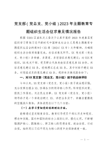 党支部（党总支、党小组）2023年主题教育专题组织生活会征求意见情况报告