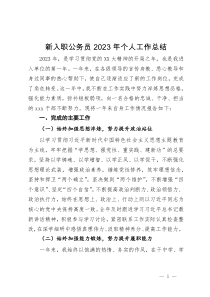 新入职公务员2023年个人工作总结