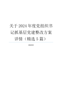 关于2024年度党组织书记抓基层党建整改方案详情（精选5篇）