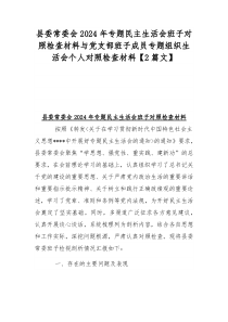 县委常委会2024年专题民主生活会班子对照检查材料与党支部班子成员专题组织生活会个人对照检查材料