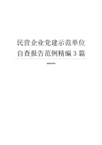 民营企业党建示范单位自查报告范例精编3篇