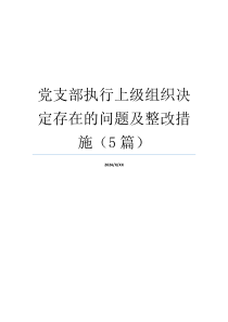 党支部执行上级组织决定存在的问题及整改措施（5篇）