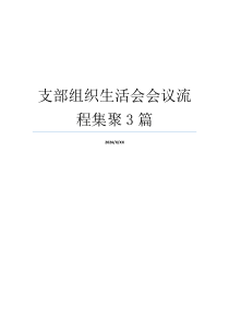 支部组织生活会会议流程集聚3篇