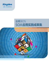 SOA管理实践成果集