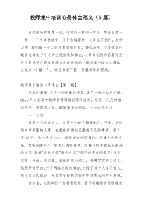 教师集中培训心得体会范文（5篇）