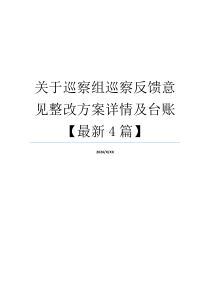 关于巡察组巡察反馈意见整改方案详情及台账【最新4篇】