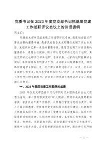 党委书记在2023年度党支部书记抓基层党建工作述职评议会议上的讲话提纲