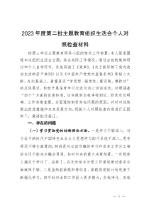 2023年度第二批主题教育组织生活会个人对照检查材料 (2)