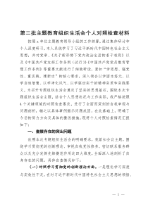 第二批主题教育组织生活会个人对照检查材料 (2)