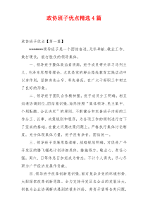 政协班子优点精选4篇