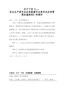 安全生产委员会应急救援专业委员会应急管理实施细则