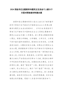 2024党组书记主题教育专题民主生活会个人新六个方面对照检查材料集合篇