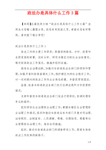 政法办是具体什么工作3篇