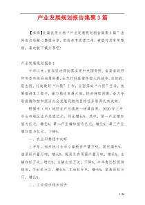 产业发展规划报告集聚3篇