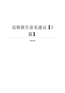 巡察报告意见建议【5篇】