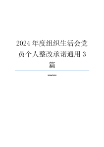 2024年度组织生活会党员个人整改承诺通用3篇