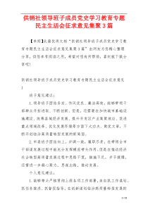 供销社领导班子成员党史学习教育专题民主生活会征求意见集聚3篇