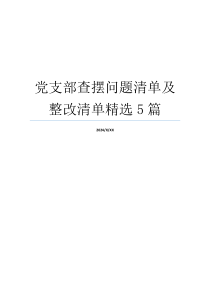 党支部查摆问题清单及整改清单精选5篇