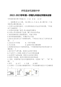 新疆哈密市伊吾县淖毛湖镇中学2022-2023学年九年级上学期化学期末试卷（无答案）