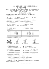 2023年春学期扬中市初中阶段性学习评价I九年级化学试卷