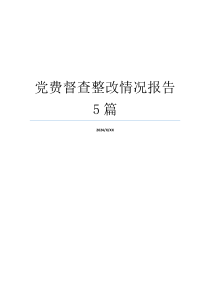 党费督查整改情况报告5篇