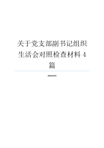 关于党支部副书记组织生活会对照检查材料4篇